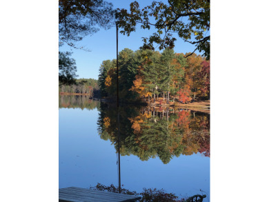 Amazing Lakefront Peninsula - photo 5
