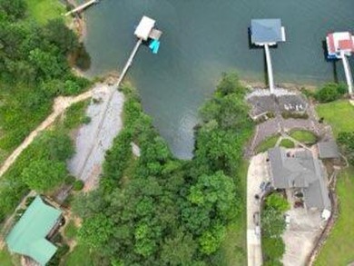 Discover the perfect opportunity to build your dream getaway or - Lake Lot For Sale in Arley, Alabama