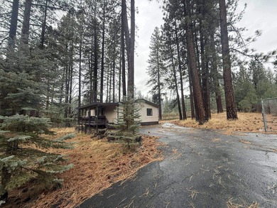 Lake Davis Home For Sale in Portola California