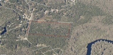 Tsala Apopka Chain of Lakes Acreage For Sale in Floral City Florida