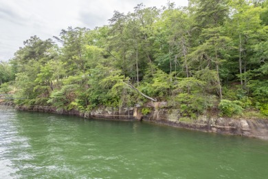 Smith Lake (Main Channel) A spectacular lot near Duncan Bridge - photo 4
