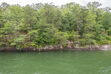 Smith Lake (Main Channel) A spectacular lot near Duncan Bridge - photo 6