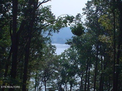 Lake Lot For Sale in Rockwood, Tennessee