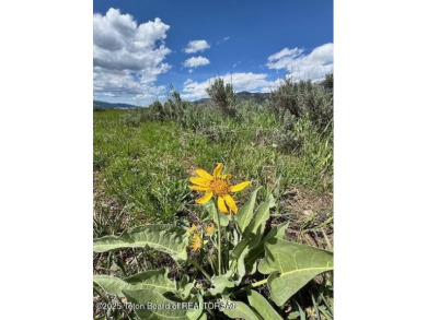 Lake Lot Sale Pending in Alpine, Wyoming
