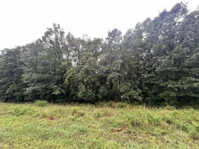 Table Rock Lake Lot For Sale in Cape Fair Missouri