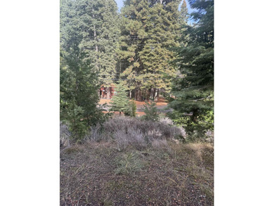 Lake Almanor Lot For Sale in Lake Almanor California