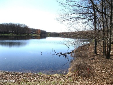 Lake Acreage For Sale in Hawley, Pennsylvania