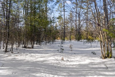 Welcome to Lot 6 within Bethel's newest subdivision, boasting - photo 12