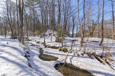 Welcome to Lot 6 within Bethel's newest subdivision, boasting - photo 14