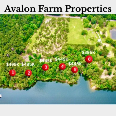 Lot 4 Avalon Farm Properties. This former family farm now lies - Lake Lot For Sale in Crane Hill, Alabama