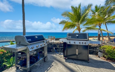 Oceanfront living at Casa De Emdeko. Location, location - photo 22