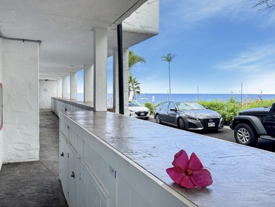 Oceanfront living at Casa De Emdeko. Location, location - photo 28