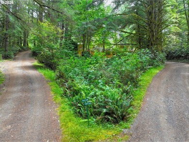 **Private Woodland Property with Two Homes & Income - photo 6