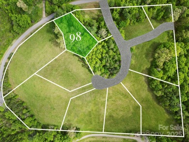 (private lake, pond, coastal) Lot For Sale in Asheville North Carolina