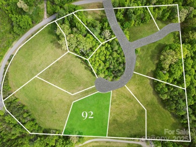 (private lake, pond, coastal) Lot For Sale in Asheville North Carolina