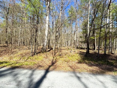 Lake Lot For Sale in Hawley, Pennsylvania