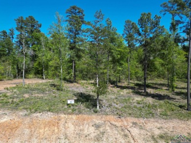 Lake Lot For Sale in Hallsville, Texas