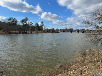 Neely Henry Lake Acreage For Sale in Rainbow City Alabama
