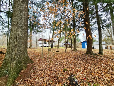 South Manistique Lake Home For Sale in Germfask Michigan