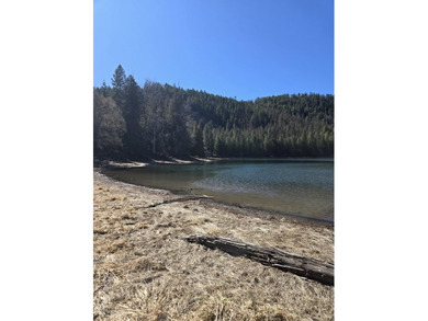 Secluded 5 acres just off Dry Canyon Rd. Secondary lot to - photo 16