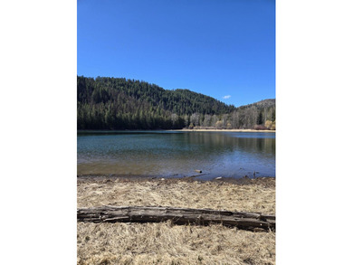 Secluded 5 acres just off Dry Canyon Rd. Secondary lot to - photo 17