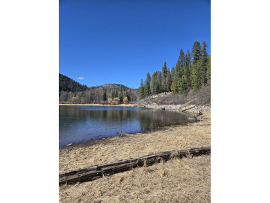 Secluded 5 acres just off Dry Canyon Rd. Secondary lot to - photo 18