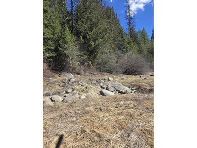 Secluded 5 acres just off Dry Canyon Rd. Secondary lot to - photo 19