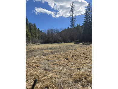 Secluded 5 acres just off Dry Canyon Rd. Secondary lot to - photo 20