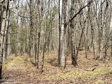 Lake Lot For Sale in Hawley, Pennsylvania