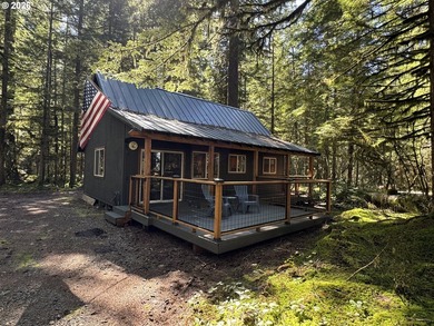 Welcome to one of Northwoods' finest cabin retreats on beautiful - photo 1