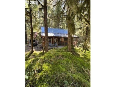 Welcome to one of Northwoods' finest cabin retreats on beautiful - photo 2
