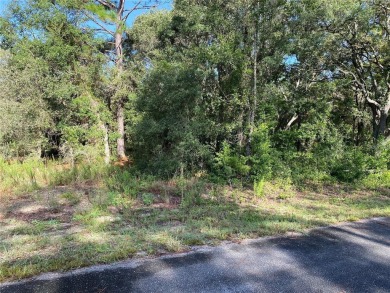 Bonable Lake Lot For Sale in Dunnellon Florida