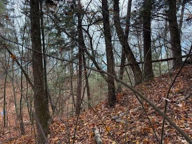 Lake Michigan - Mackinac County Lot For Sale in Saint Ignace Michigan