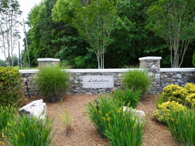 Nearly Two Acres of Beautiful Hardwoods Located in The Charming - photo 2