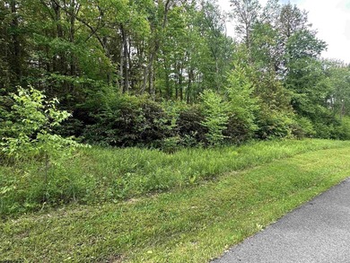Lovely wooded lot in Tuscan Ridge - your own private slice of - photo 13
