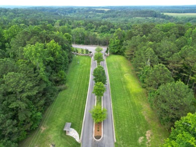 Nearly Two Acres of Beautiful Hardwoods Located in The Charming - photo 8