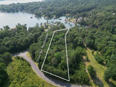 Nearly Two Acres of Beautiful Hardwoods Located in The Charming - photo 9
