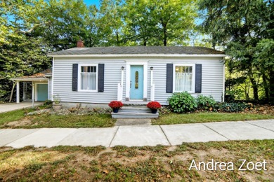 Lake Home For Sale in Allegan, Michigan