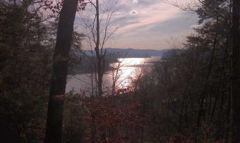 Great Lakefront Lot Deep year round water under 100K - Lake Lot For Sale in Sharps Chapel, Tennessee