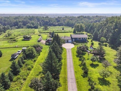 Lake Home For Sale in Long Lake Twp, Minnesota