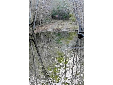 (private lake, pond, coastal) Acreage For Sale in Ash North Carolina