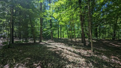 Lake Lot For Sale in Custer, Michigan