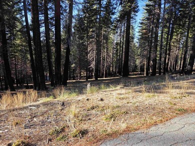 Nice .67 acre parcel in Lake Almanor West. Located on a quiet - photo 2