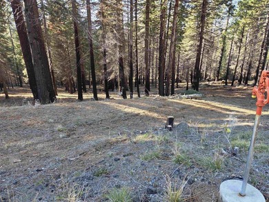 Nice .67 acre parcel in Lake Almanor West. Located on a quiet - photo 3