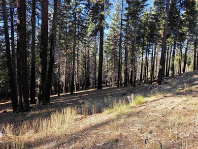 Nice .67 acre parcel in Lake Almanor West. Located on a quiet - photo 4