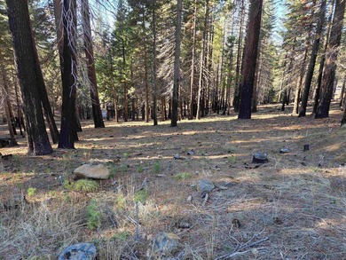 Nice .67 acre parcel in Lake Almanor West. Located on a quiet - photo 5