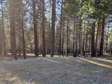 Nice .67 acre parcel in Lake Almanor West. Located on a quiet - photo 7