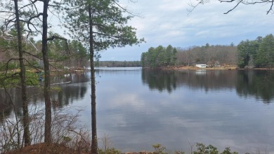 Amazing Lakefront Peninsula - photo 1