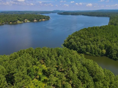 Lay Lake Acreage For Sale in Sylacauga Alabama