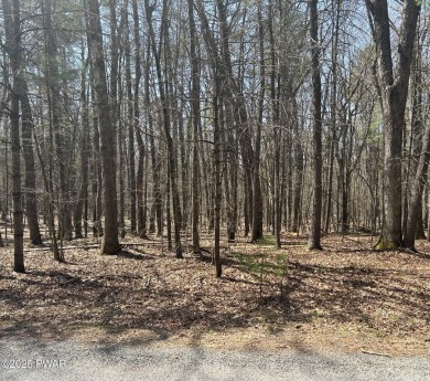 Lake Lot For Sale in Hawley, Pennsylvania